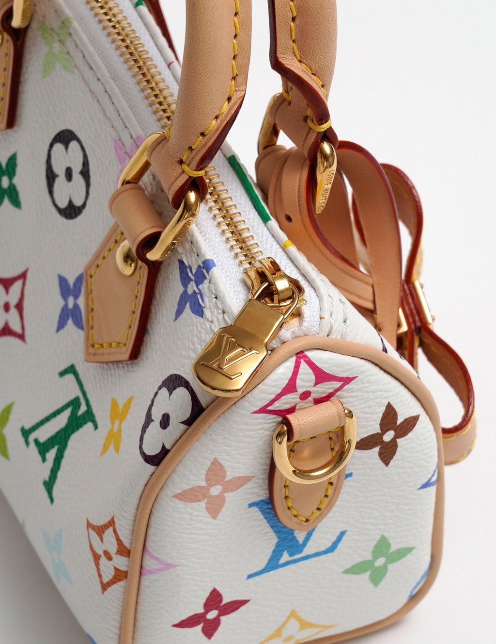 Louis Vuitton x Takashi Murakami Speedy Tote Bag